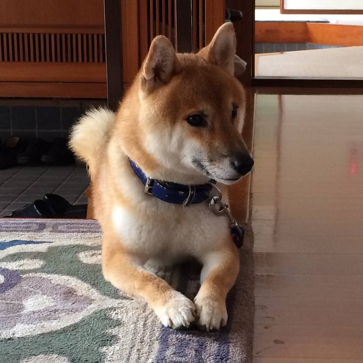 87b60d31 05e0 4f0e a502 3b48e24231ae