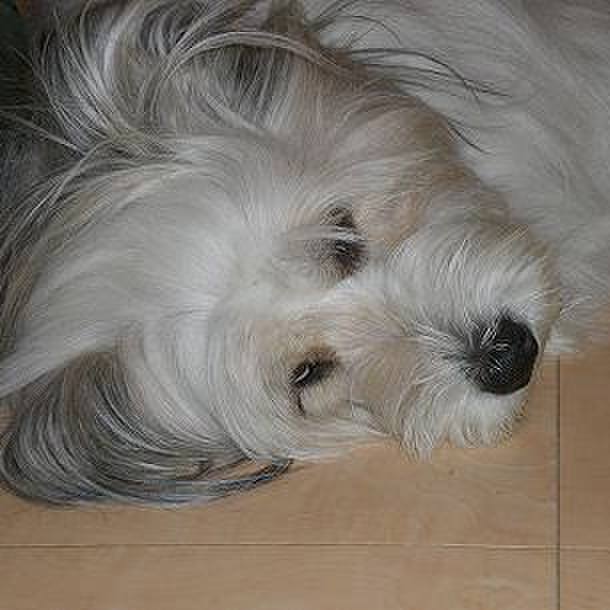 87b610c1 7366 4d8f a1d9 7ca5a1846683