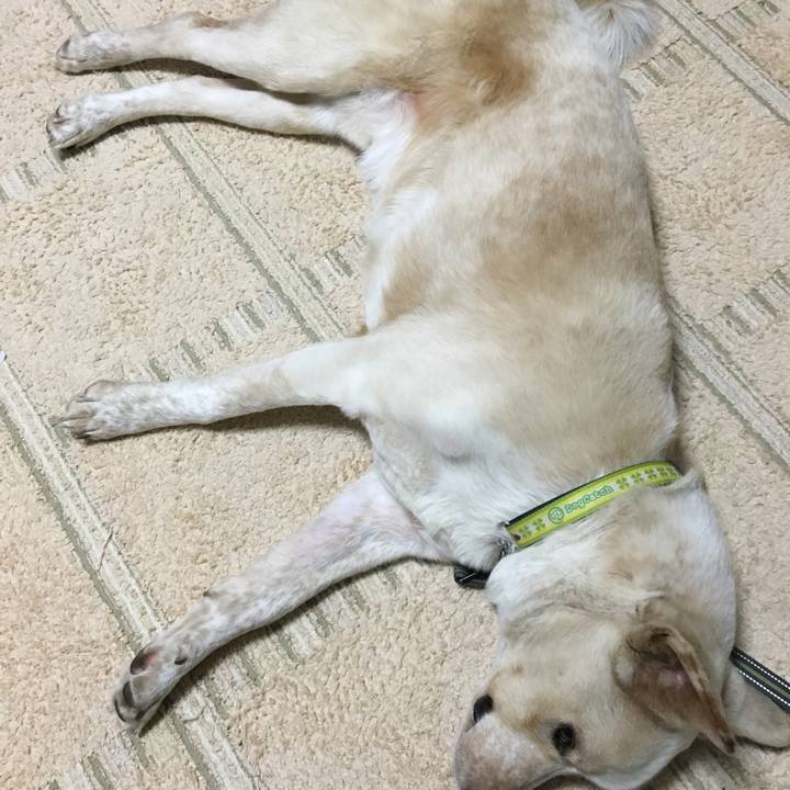 87b6f729 5409 4195 9989 88e7f47db938