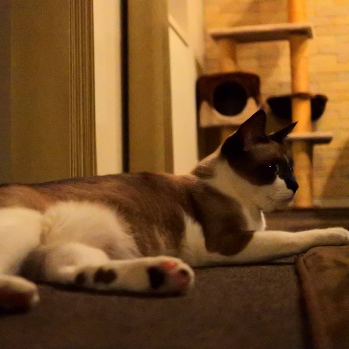 87b6fb12 1df3 4868 a47e 3f75b578a53a