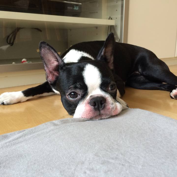 87b73452 a6c8 4fef a33f fb77159097d5