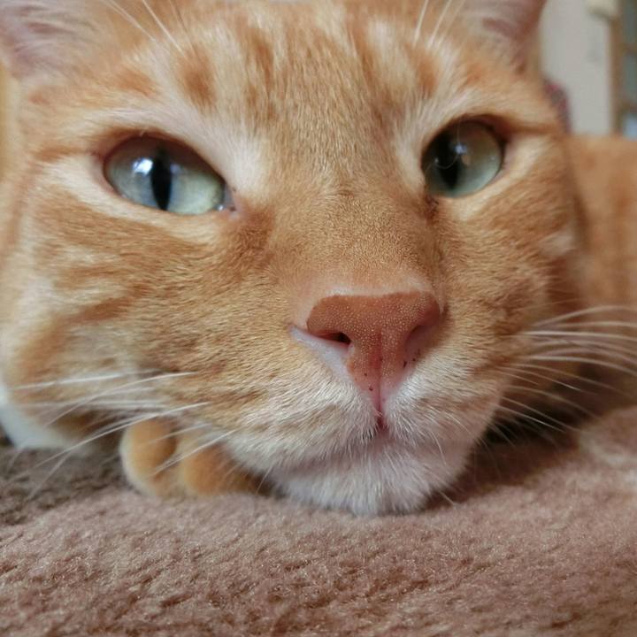 87b77d3a 6b05 446c 8cab 05d9a707c52a