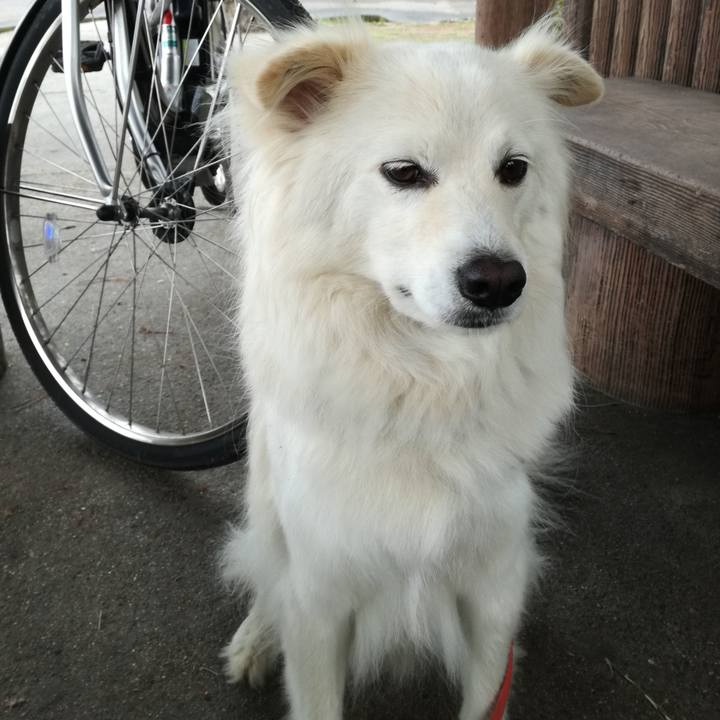 87b8330f 686c 4759 b5fd 7cafef7d6274