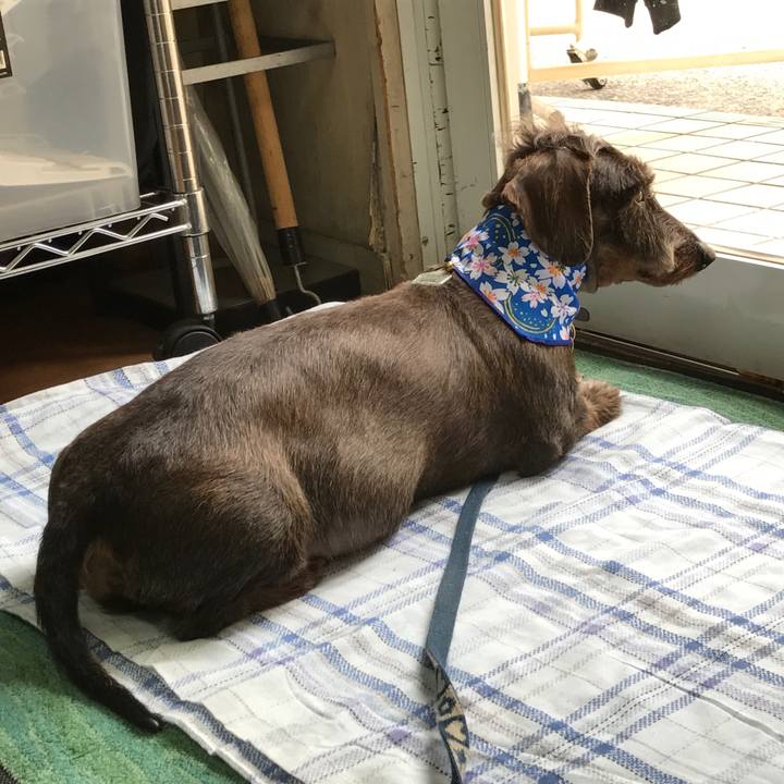 87b96981 a92d 4f60 94a4 d4f0b1775a10