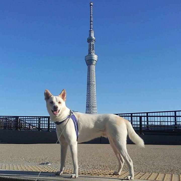 87b97410 d755 40ac 94af 1d1e3a7207c2