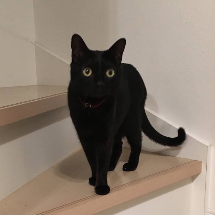 87b9ae17 aafb 487c b514 dbc5f21a50e2