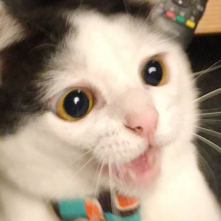 87ba1417 fcb4 4dbc b541 5fb7b3830d7e