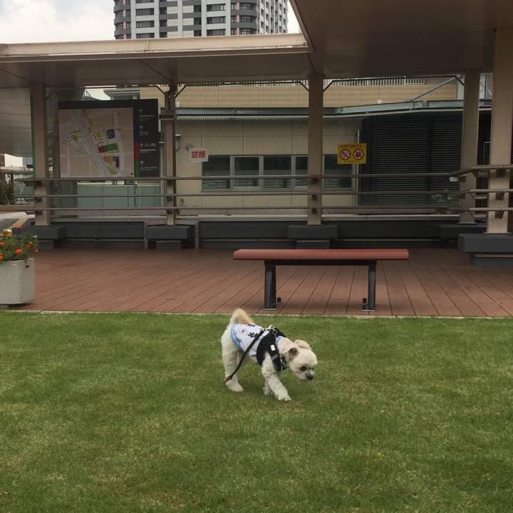 87ba5a41 91c9 48a6 9429 9e23c8cce1f7