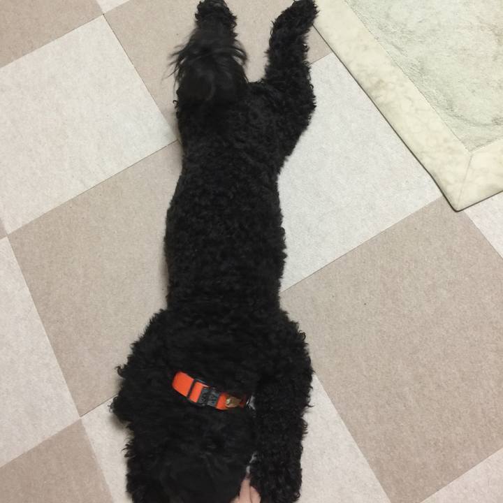 87bb0247 b7a8 4e57 8108 6995063cd0aa