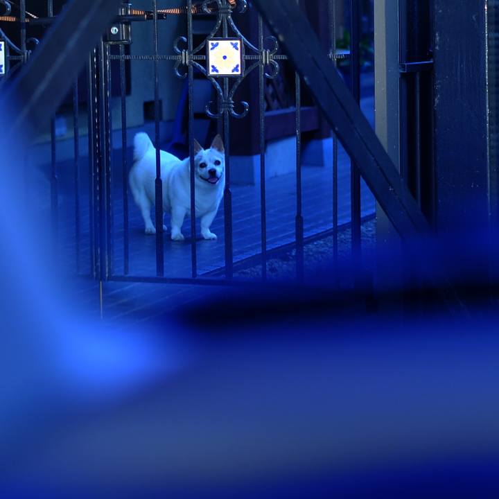 87bb3b43 8fea 4d02 8dbc fff04c13b975