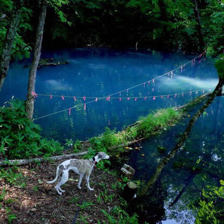 87bb4849 0f04 4226 a8f3 f9f64e056602