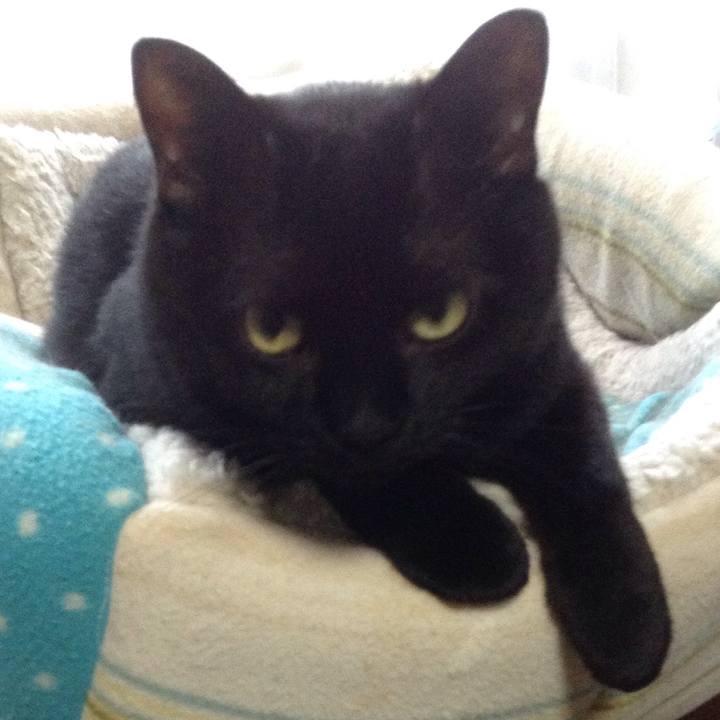 87bbaae6 01e6 456c abee 61112218177d