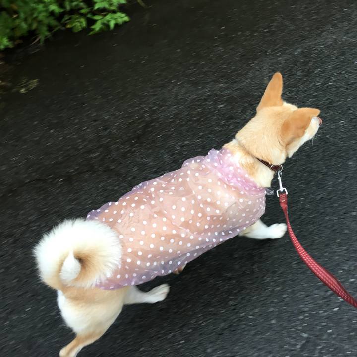 87bbe5a4 d614 4486 95b7 3a60f9f2b83b