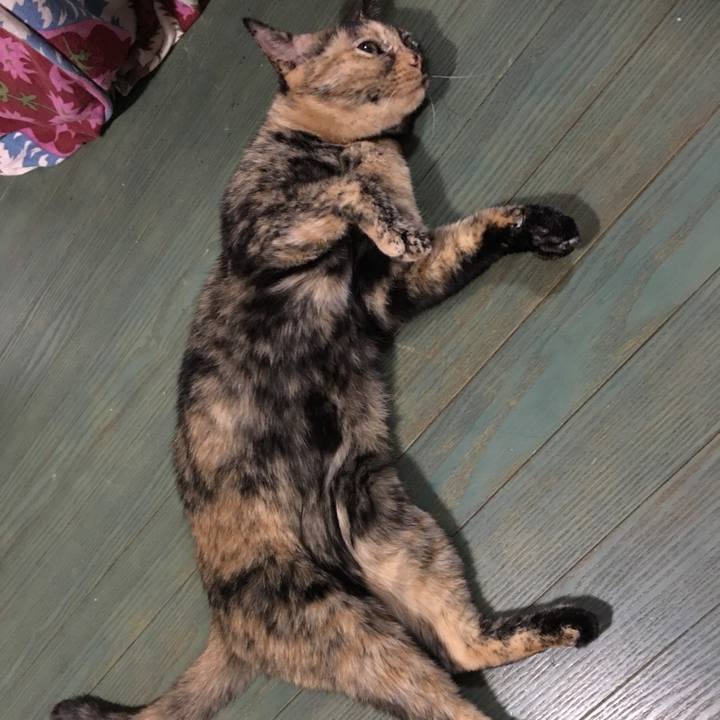 87bbec65 6879 4301 84d8 deaf02b021ea