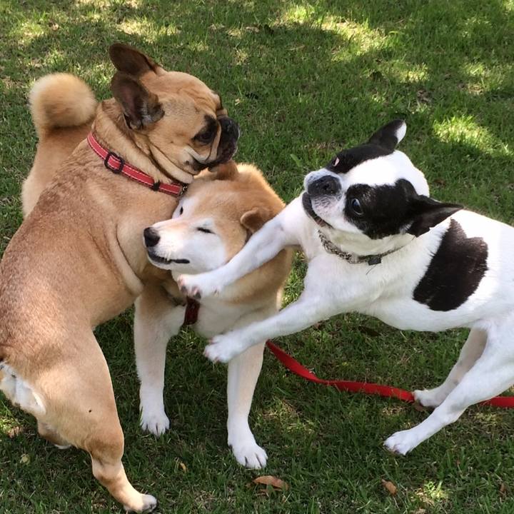 87bdb24f 80a5 430b 9806 6b38f3d2ba59