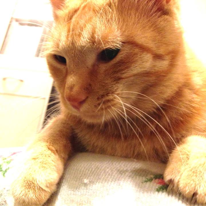 87be3d6a ef89 4c7d 83e9 16ce6106dd59