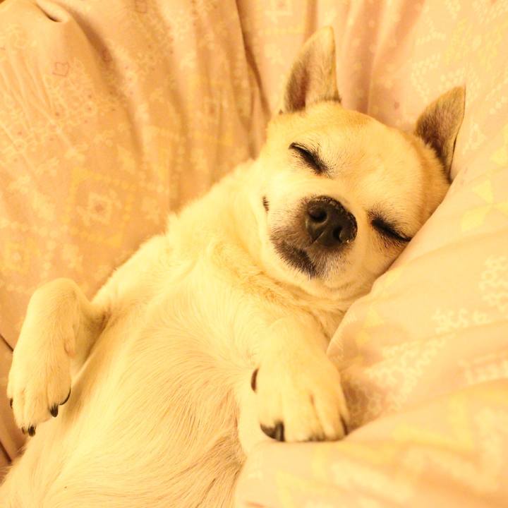 87be711a 7f43 47e1 b568 b484e560fe7c