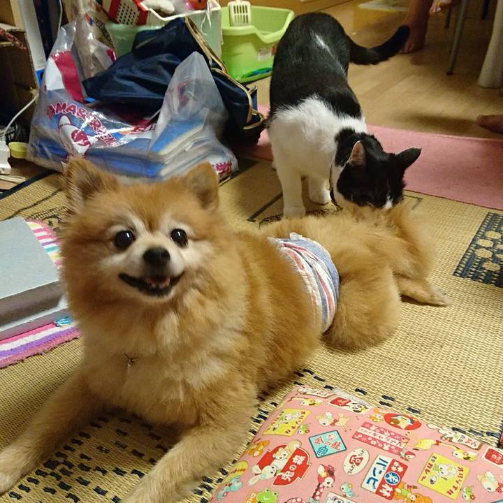 87beb63f bcbb 4e6b b278 7c81d7c5e9e4