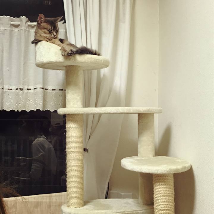 87bf0eed 0860 4e2c aeea 65eae97847b1