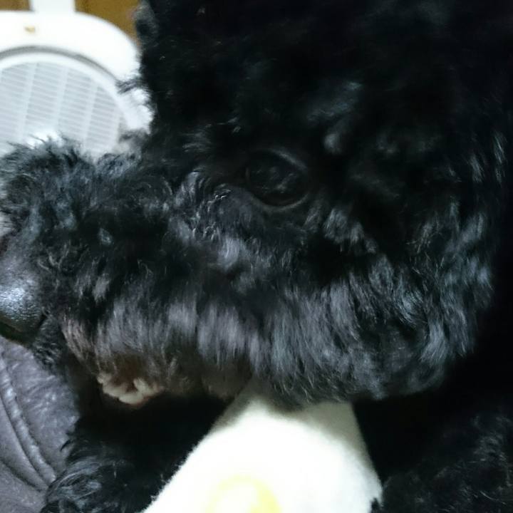 87bf41d5 c40b 4bb9 be54 7c41a8faacdd