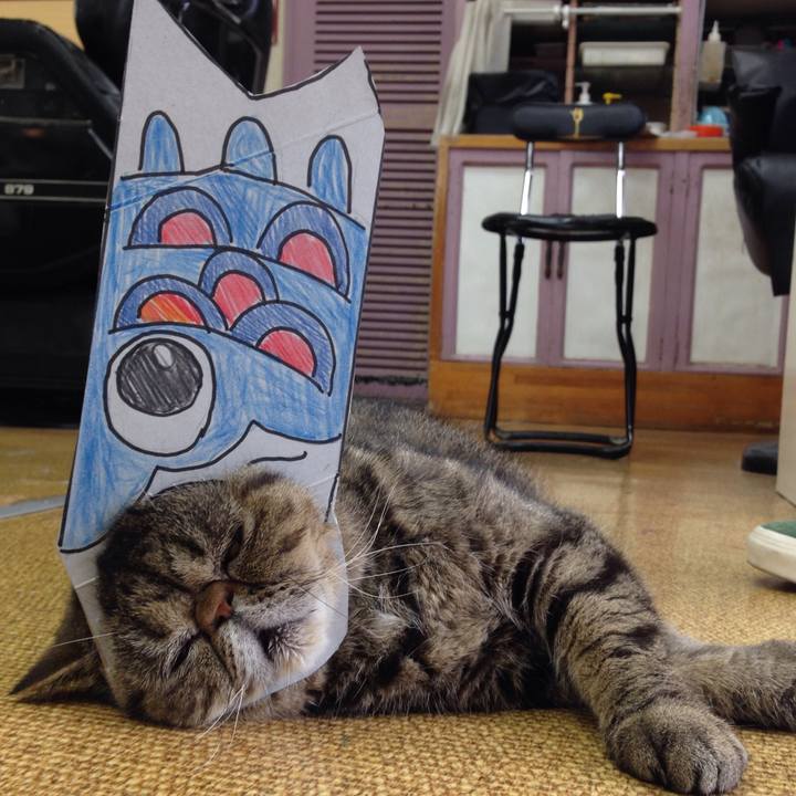 87bfc7d6 7fcc 497b 9a2f caa028b58a59