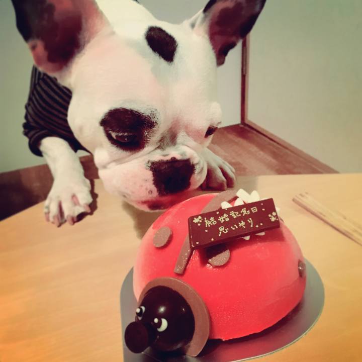 87c022ce ce63 44c4 8fc1 96ab3e988130