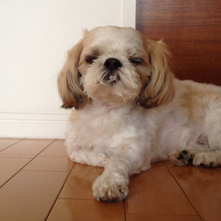 87c02a8e 581d 479f bd10 ef80474eb463