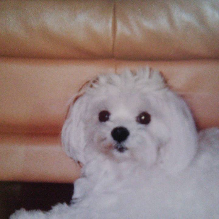 87c0885b 987d 4782 8dc2 18b55d493f30