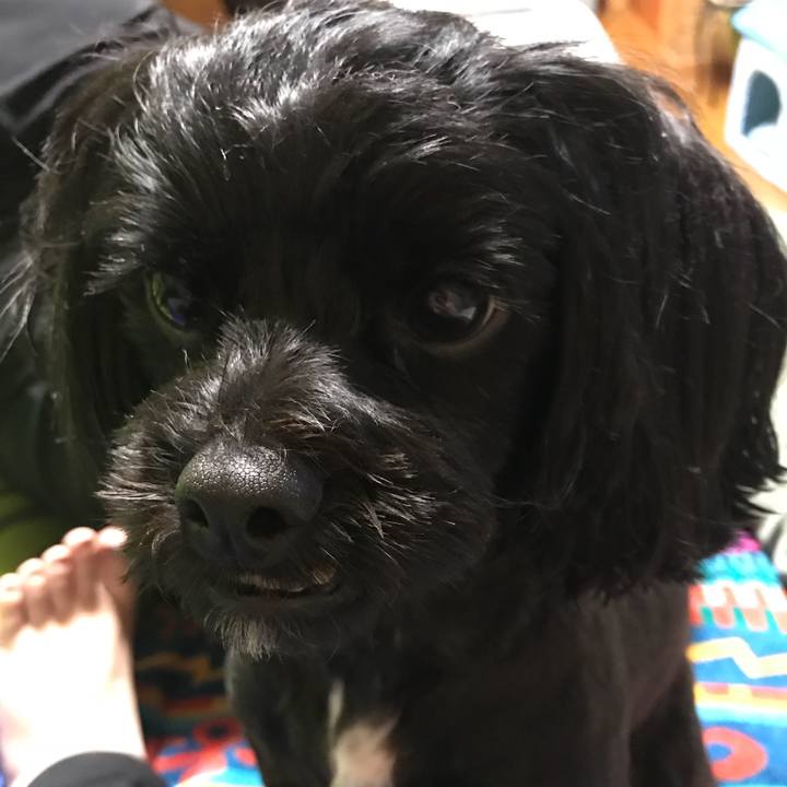 87c1185c 7669 4c9b b3b2 5396b48ae951