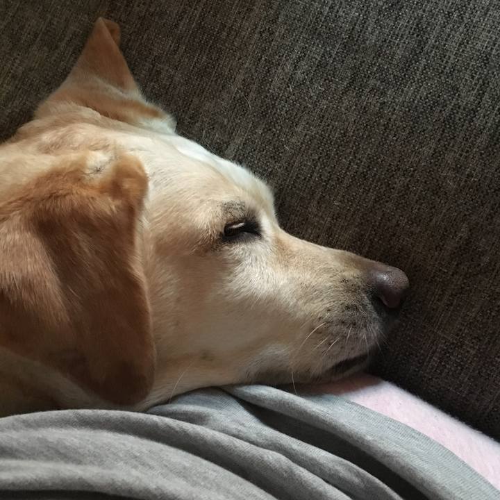 87c164e6 daa0 46c7 a56a 58a724b20e46