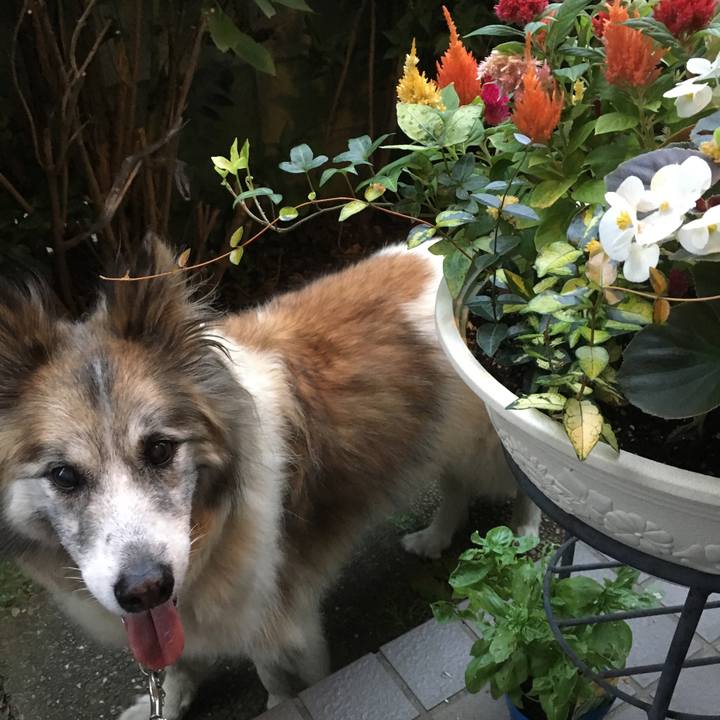 87c1b27e 1038 42c8 b4f2 2dc55446e067