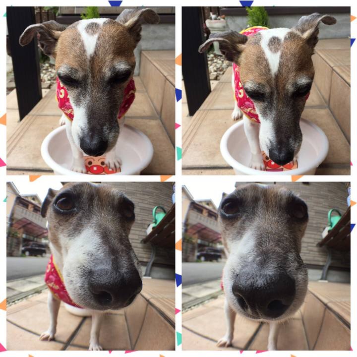 87c1bc28 0961 4820 b60f b87101f0d627