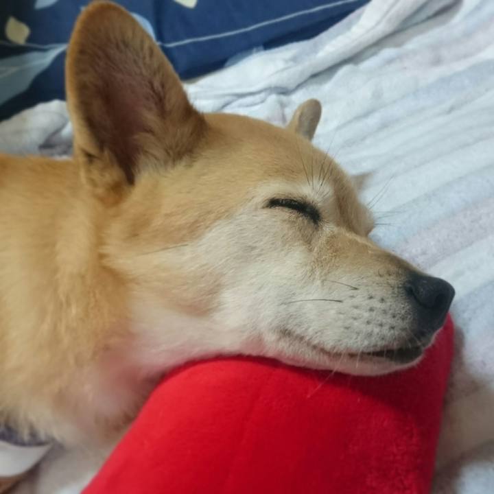 87c274ad 17e5 422b ace8 083355093406