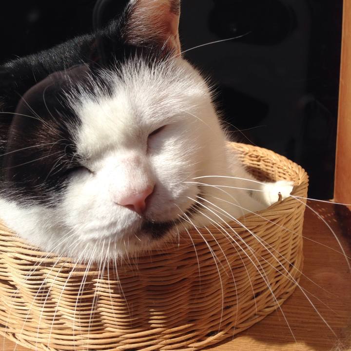 87c36f51 f287 4d7b 9836 5bbfa6be6e10