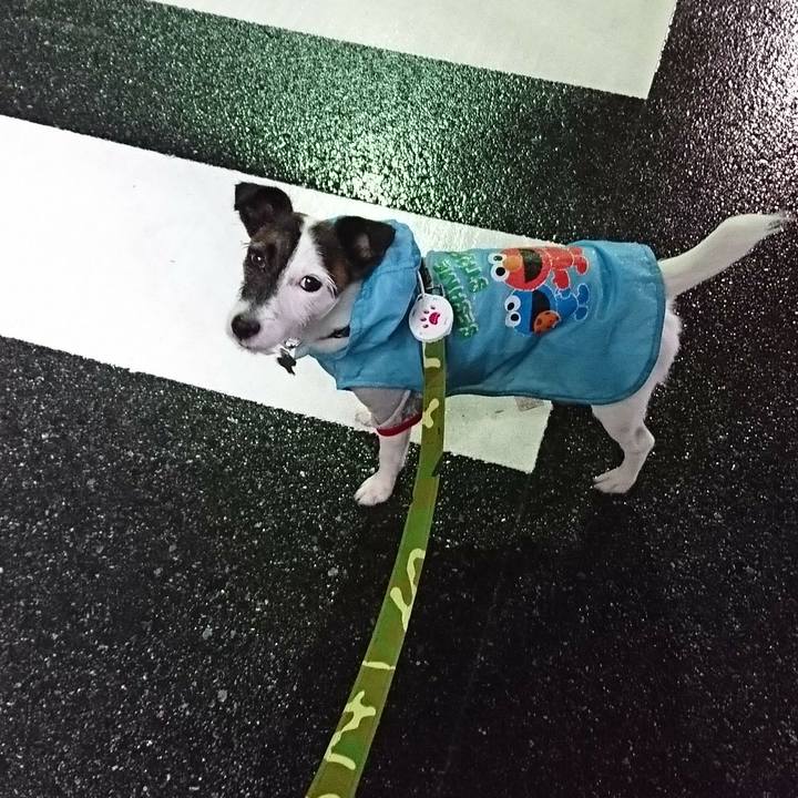 87c3cebf 0587 4398 91ab 053599ff7260