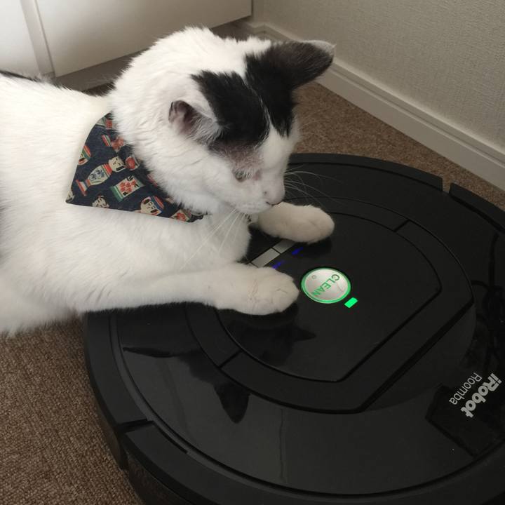 87c40e4f a9a4 4b9a 8e88 e43770e6c011