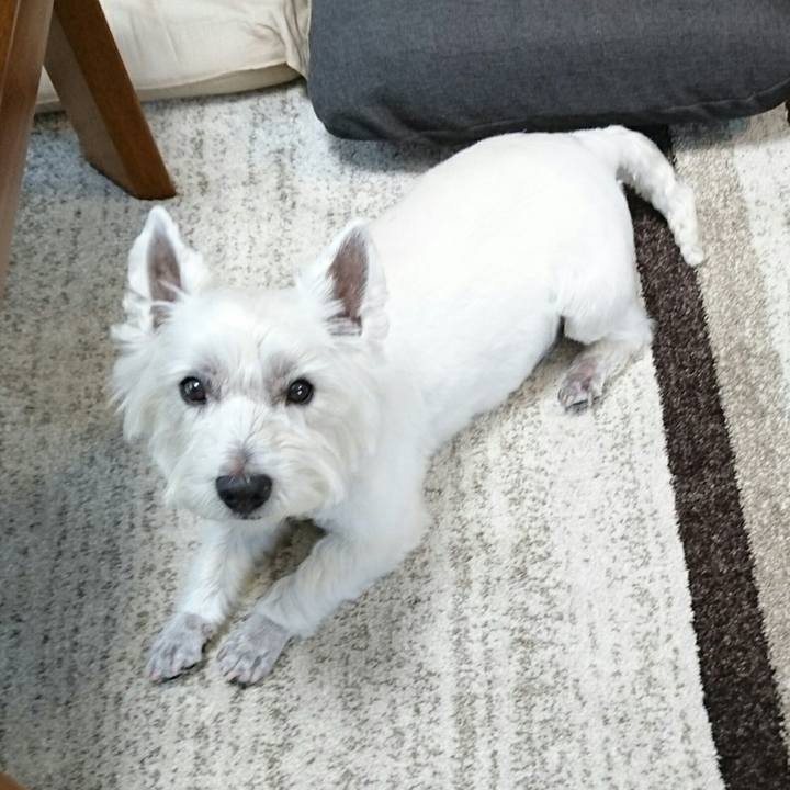 87c4e578 60e1 4f3b bfa6 2a3d3d6438e6