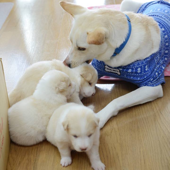 87c5a55e 2be2 4afc 822c 7b55130e9fd2