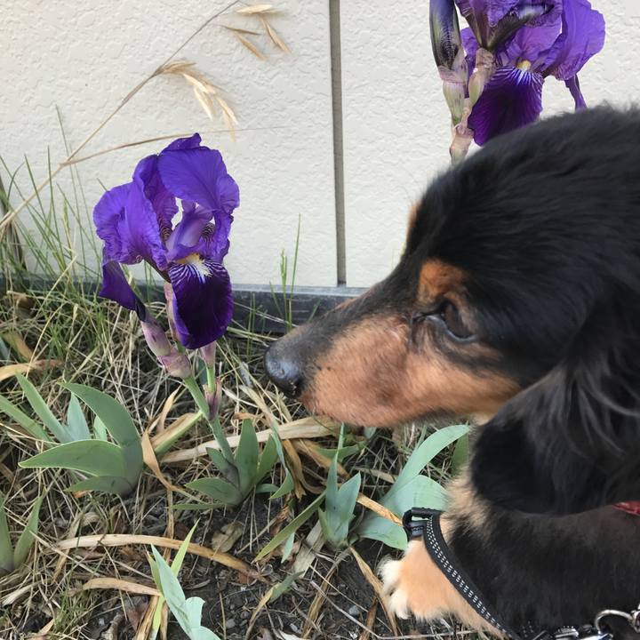 87c5c676 7f5c 45c9 a8d2 de0e35c29772