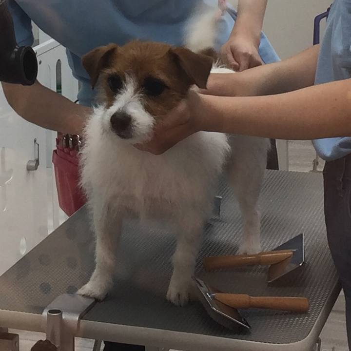 87c70d8a be5d 4fb1 b7a3 a33a1488ef11