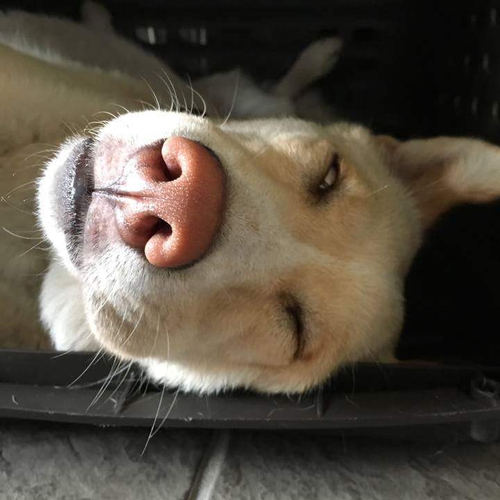 87c7661f d81d 4304 a632 6ace0cb47264