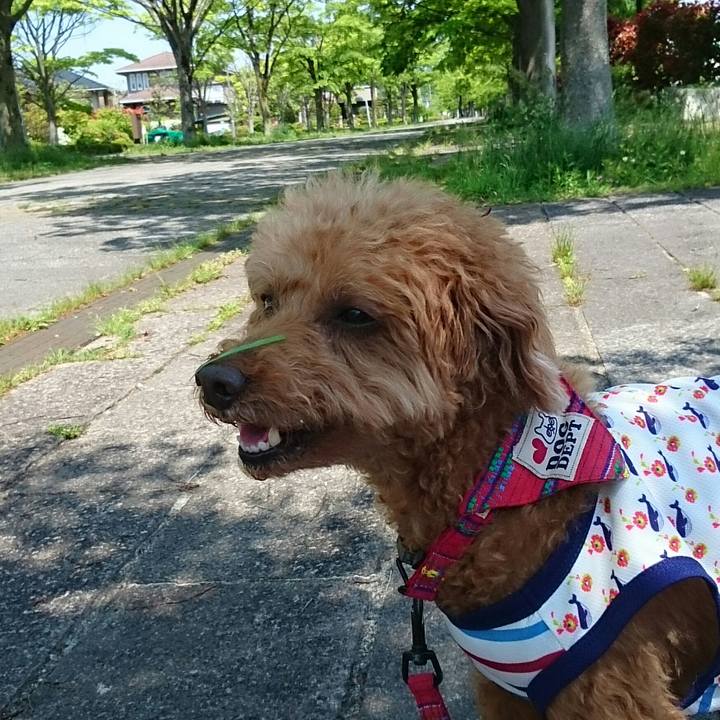 87c77cb3 39d6 4725 b448 c6959a3ded29