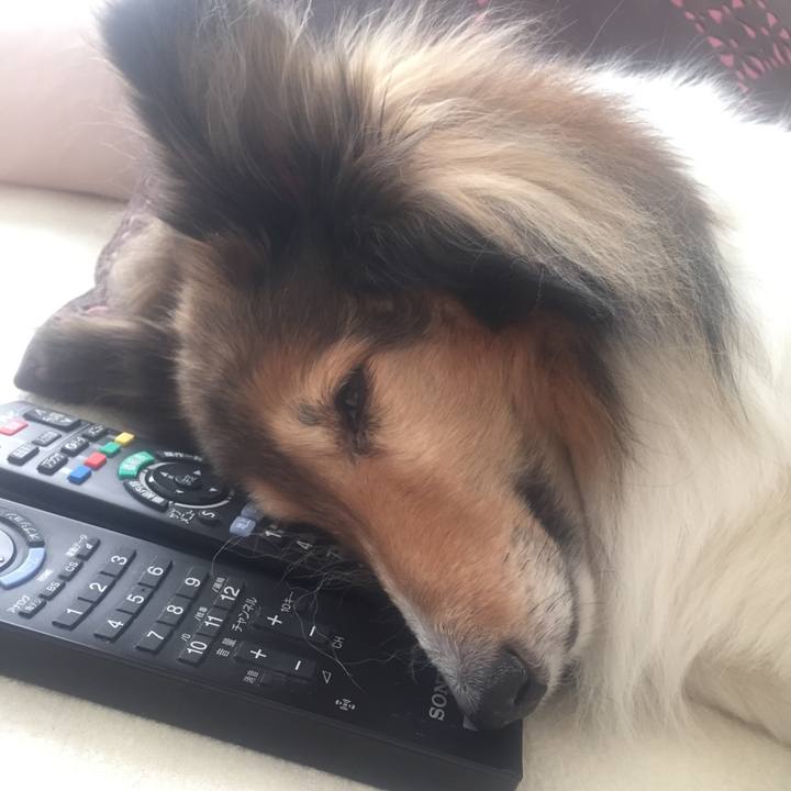 87c7b210 4459 4c11 a7f0 5e9888bf4a25