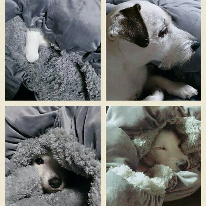 87c7b5d8 da8a 4322 bb27 4d1f54240726