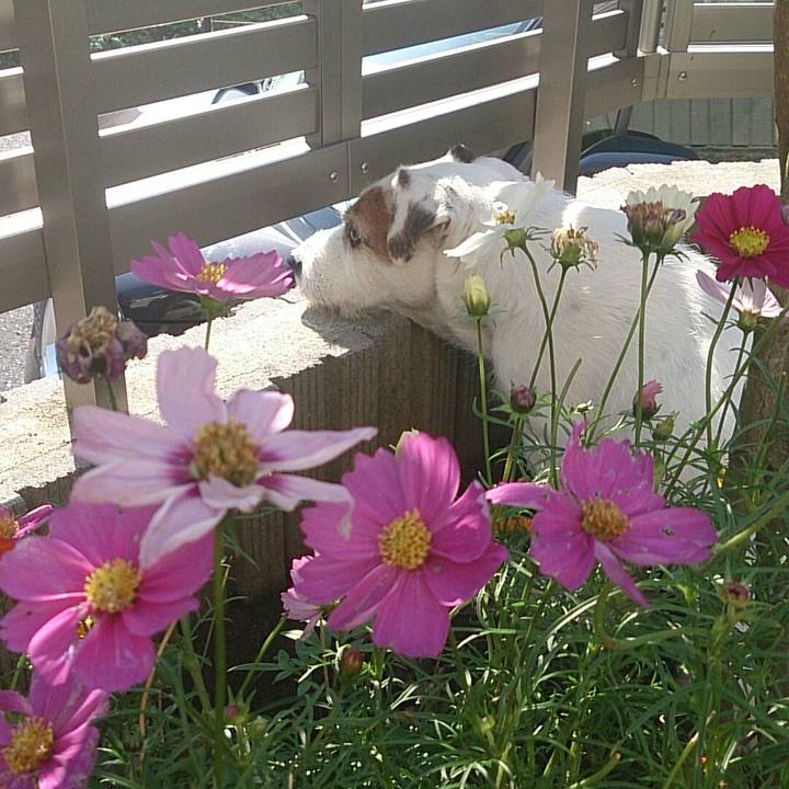 87c8bde9 629d 47c3 a7c2 bbc46c8d3dc2