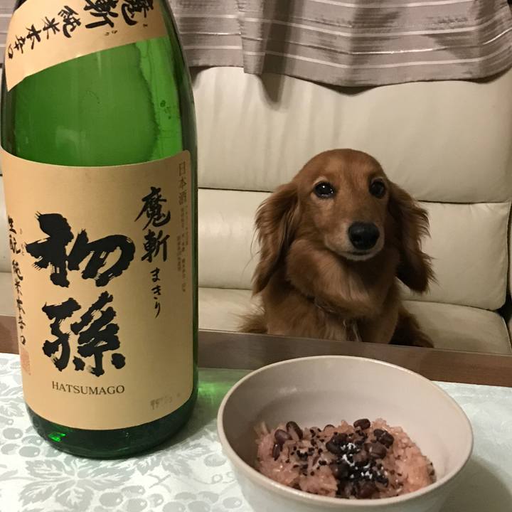 87c96ae6 a37e 495c a461 f846545ce0c2