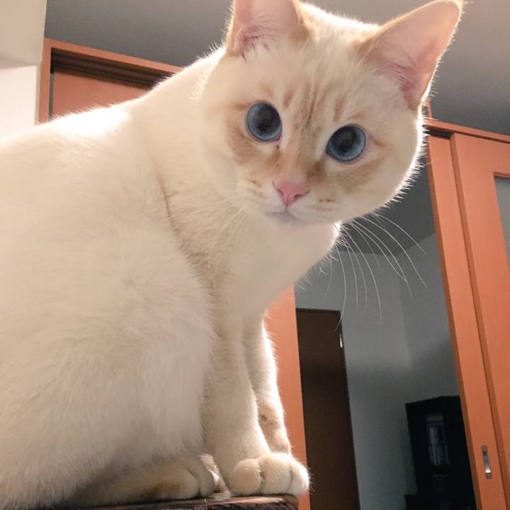 87cace7b 8f0a 42d9 941b dba96f84ef89