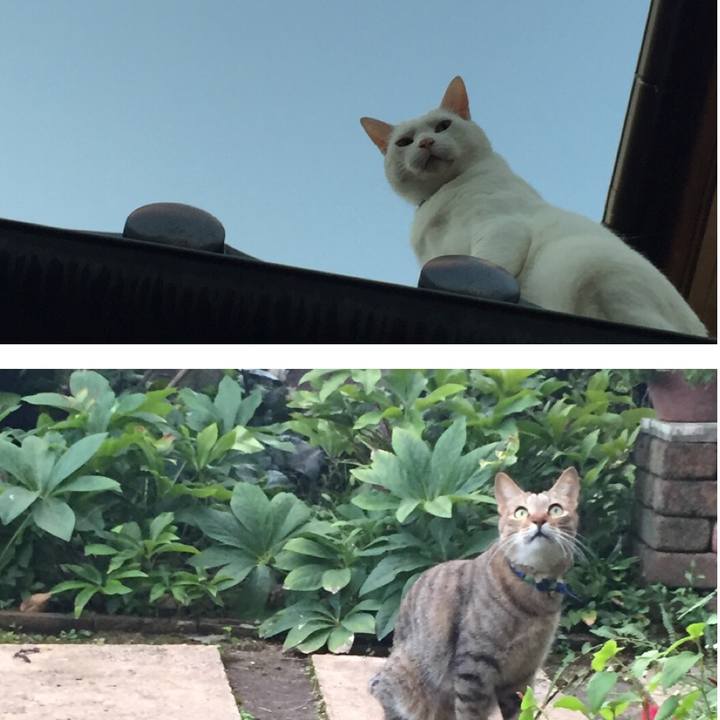 87cbcfed 5114 4ea9 a048 05d8ee9631fc