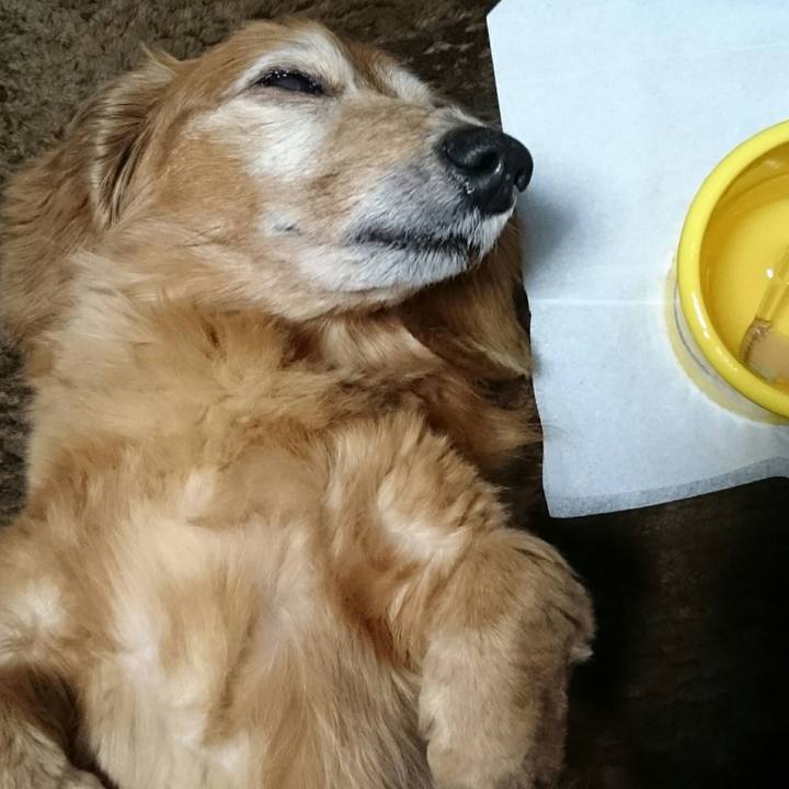 87cc591a 5f3a 43e7 8a81 4ab568478f8b