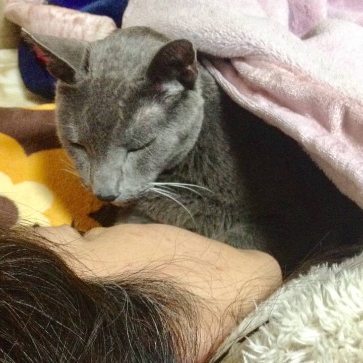 87cd678f e499 4398 a079 0715b394bb13